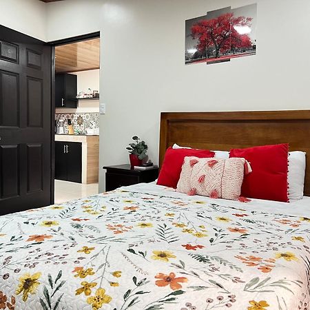 Apartamentos H Gonzalez #11#4 Alajuela Dış mekan fotoğraf